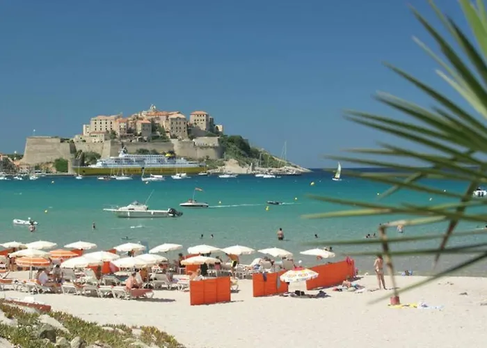 Maison Cosy Climatisee Avec Piscine Et Jardin Villa Calenzana