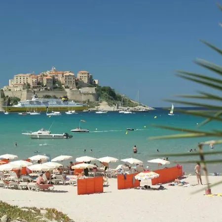 Maison Cosy Climatisée Avec Piscine Et Jardin Villa Calenzana