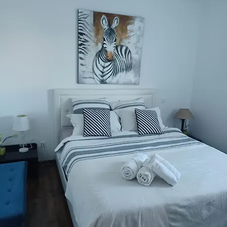 Villa Maison Cosy Climatisée Avec Piscine Et Jardin Calenzana